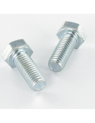 1 x Metalen schroeven zeskantkop TH M12X110...