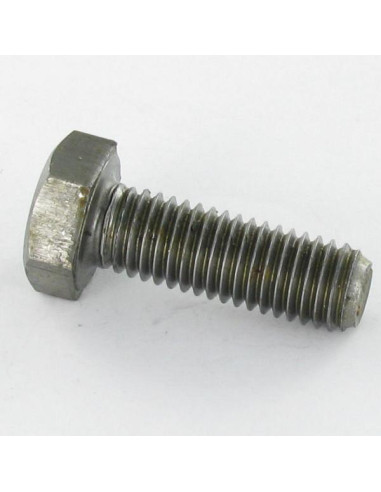 1 x Metalen schroeven zeskantkop TH M10X30...