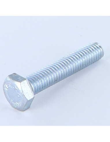 1 x Metalen schroeven zeskantkop TH M10X25...
