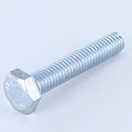 1 x Metalen schroeven zeskantkop TH M10X25 Klasse 8.8 Wit verzinkt staal