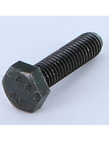 1 x Metalen schroeven zeskantkop TH M10X30...