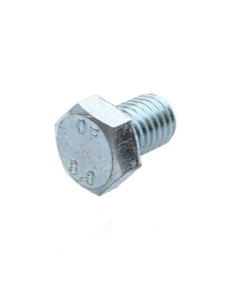Metalen schroeven zeskantkop TH M12X20 Klasse 8.8 Wit...