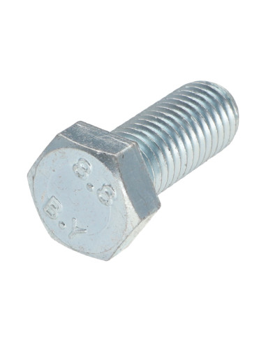 1 x Metalen schroeven zeskantkop TH M12X35...
