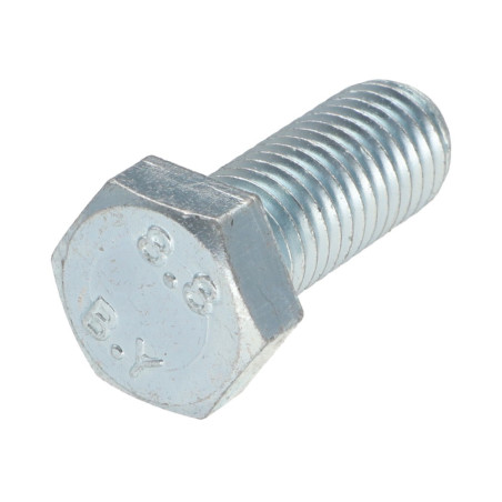 1 x Metalen schroeven zeskantkop TH M12X40 Klasse 8.8 Wit verzinkt staal