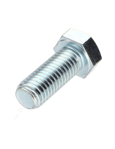 1 x Metalen schroeven zeskantkop TH M12X40...