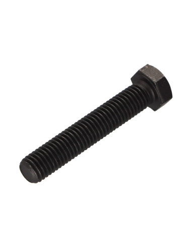 1 x Metalen schroeven zeskantkop TH M12X50...