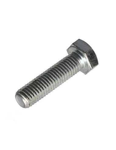 1 x Metalen schroeven zeskantkop TH M12X60...