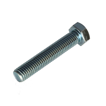 1 x Metalen schroeven zeskantkop TH M12X65 Klasse 8.8 Wit verzinkt staal