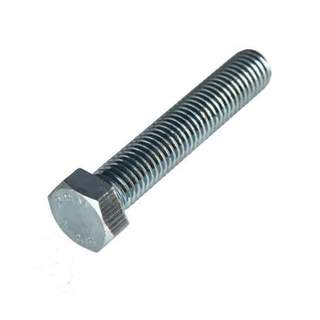 1 x Metalen schroeven zeskantkop TH M12X70 Klasse 8.8 Wit verzinkt staal