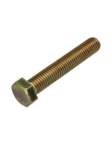 1 x Metalen schroeven zeskantkop TH M12X70...