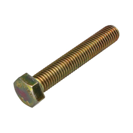 1 x Metalen schroeven zeskantkop TH M12X70 Klasse 8.8 Bichromaat