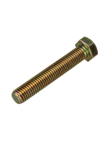1 x Metalen schroeven zeskantkop TH M12X70...