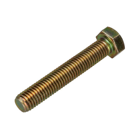 1 x Metalen schroeven zeskantkop TH M12X70 Klasse 8.8 Bichromaat
