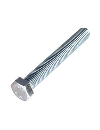 1 x Metalen schroeven zeskantkop TH M12X100...