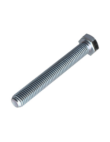 1 x Metalen schroeven zeskantkop TH M12X100...