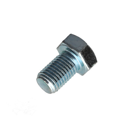 1 x Metalen schroeven zeskantkop TH M16X25 Klasse 8.8 Wit verzinkt staal