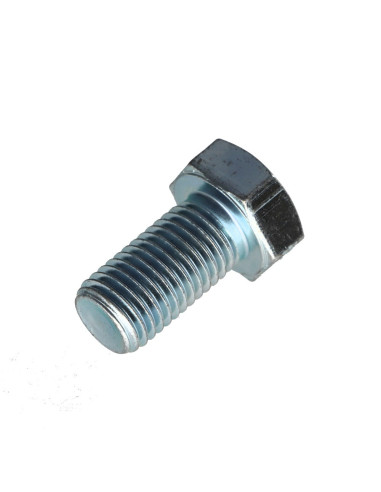 1 x Metalen schroeven zeskantkop TH M16X30...
