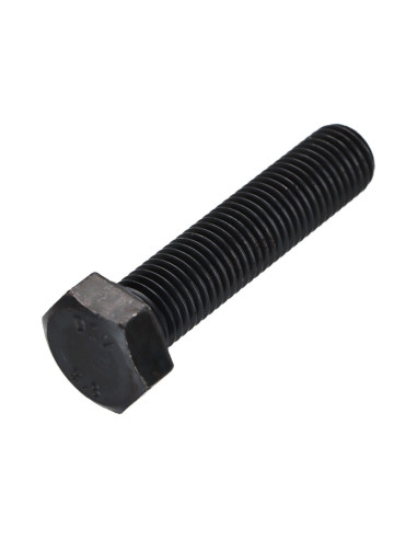 1 x Metalen schroeven zeskantkop TH M16X70...