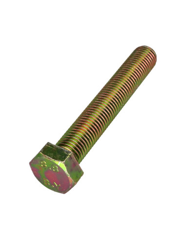 1 x Metalen schroeven zeskantkop TH M16X100...