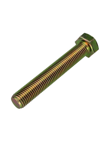 1 x Metalen schroeven zeskantkop TH M16X100...