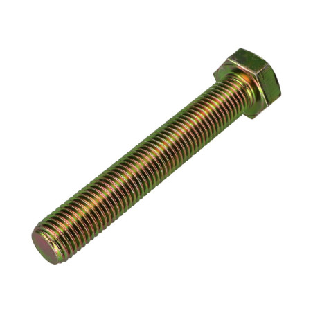 1 x Metalen schroeven zeskantkop TH M16X100 Klasse 8.8 Bichromaat
