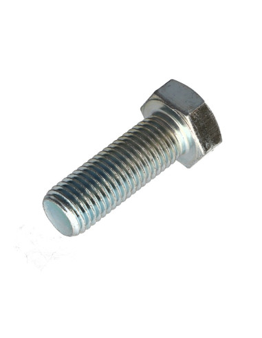 1 x Metalen schroeven zeskantkop TH M20X45...