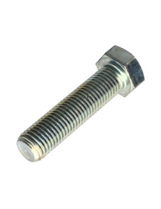 Metalen schroeven zeskantkop TH M20X65 Klasse 8.8 Wit... 2