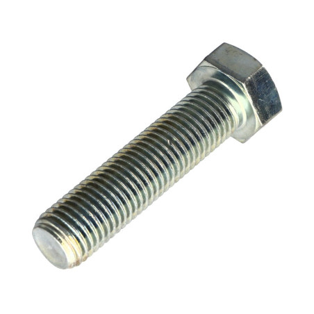 1 x Metalen schroeven zeskantkop TH M20X65 Klasse 8.8 Wit verzinkt staal