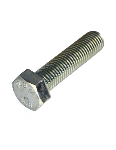 1 x Metalen schroeven zeskantkop TH M20X80...