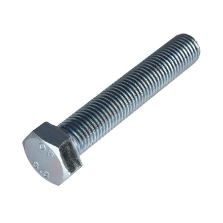 1 x Metalen schroeven zeskantkop TH M20X100 Klasse 8.8 Wit verzinkt staal