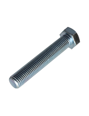 1 x Metalen schroeven zeskantkop TH M20X100...