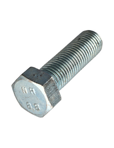 1 x Metalen schroeven zeskantkop TH M22X80...