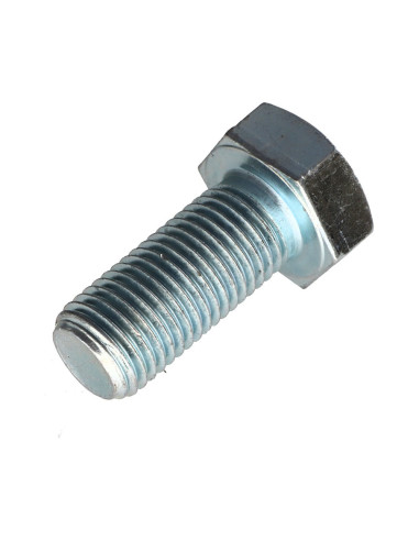 1 x Metalen schroeven zeskantkop TH M24X60...