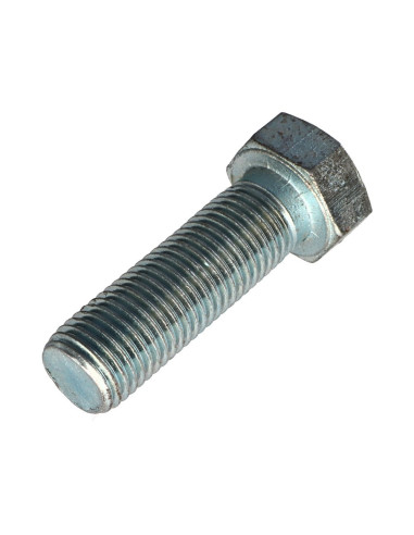 1 x Metalen schroeven zeskantkop TH M24X65...