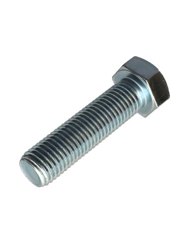 1 x Metalen schroeven zeskantkop TH M24X90...