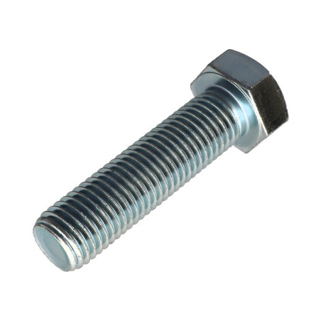 1 x Metalen schroeven zeskantkop TH M24X100 Klasse 8.8 Wit verzinkt staal
