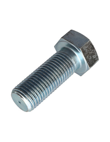 1 x Metalen schroeven zeskantkop TH M30X70...