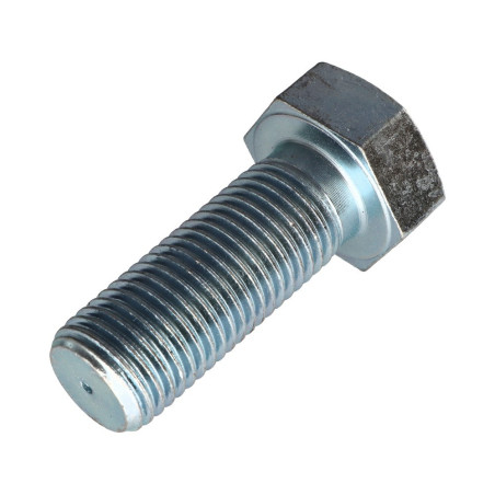1 x Metalen schroeven zeskantkop TH M30X70 Klasse 8.8 Wit verzinkt staal