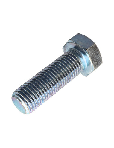 1 x Metalen schroeven zeskantkop TH M30X100...