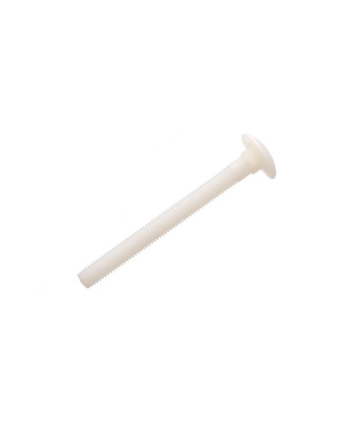 1 x Slotbouten M6X25 natuurlijk nylon