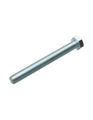 1 x Metalen schroeven zeskantkop TH M12X110...