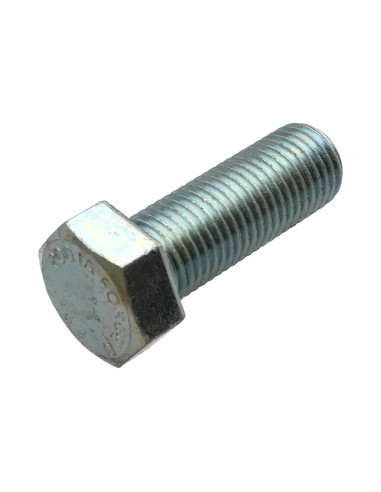 1 x Metalen schroeven zeskantkop TH M22X50...