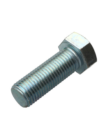 1 x Metalen schroeven zeskantkop TH M22X50...