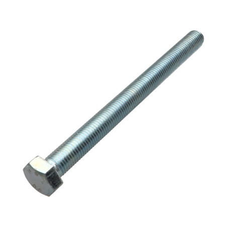 1 x Metalen schroeven zeskantkop TH M20X200 Klasse 8.8 Wit verzinkt staal