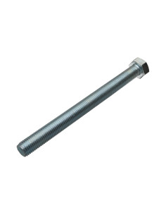 Metalen schroeven zeskantkop TH M20X200 Klasse 8.8 Wit... 2