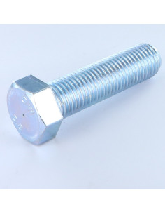 Metalen schroeven zeskantkop TH M22X80 Klasse 8.8 Wit...