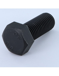 Metalen schroeven zeskantkop TH M27X60 Klasse 8.8 Ruw staal