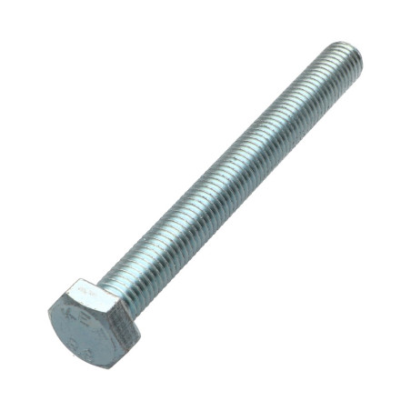 1 x Metalen schroeven zeskantkop TH M12X120 Klasse 8.8 Wit verzinkt staal