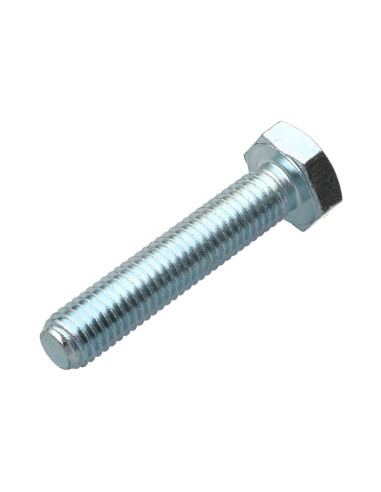 1 x Metalen schroeven zeskantkop TH M10X45...