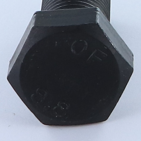 1 x Metalen schroeven zeskantkop TH M22X50 Klasse 8.8 Ruw staal